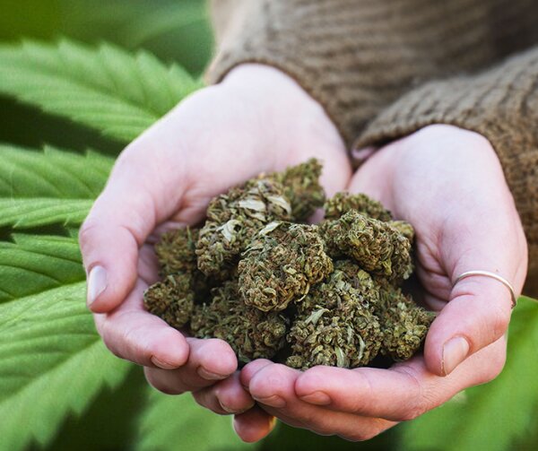 Cannabis Real Estate Loans